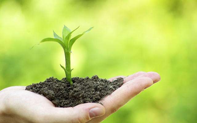 高精度土壤養分檢測儀 高精度土壤養分檢測儀