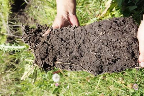 土壤養分分析儀 土壤養分分析儀