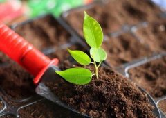 土壤養分檢測儀的應用主要是在哪里？