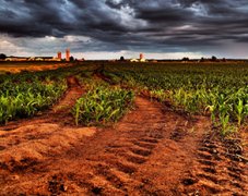 土壤養分分析儀對土壤有什么作用？