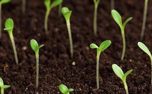 土壤肥料養分檢測儀 土壤肥料養分檢測儀